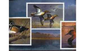 Flying Wood Ducks B429 Wallpaper Border