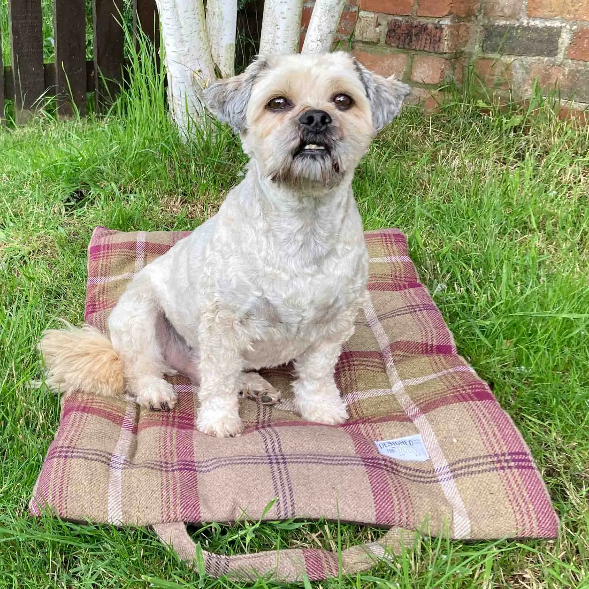 Heather Tartan Picnic Pads