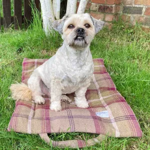 Heather Tartan Picnic Pads