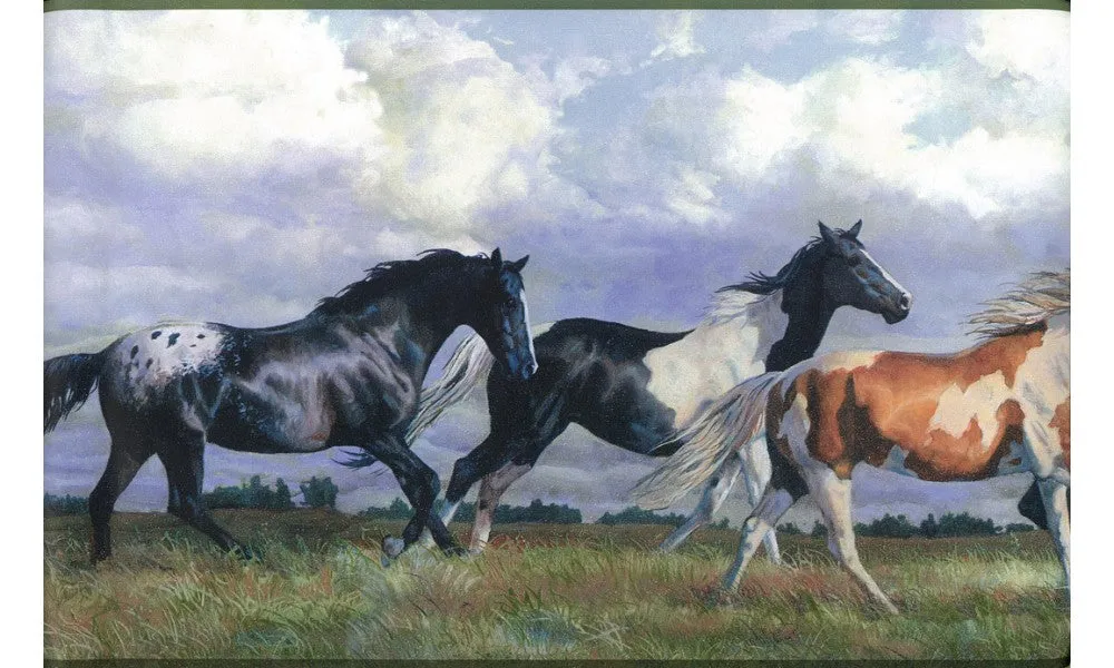 Horses NY9448 Wallpaper Border
