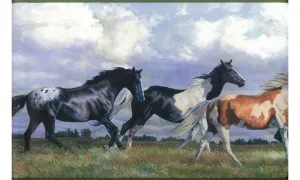 Horses NY9448 Wallpaper Border