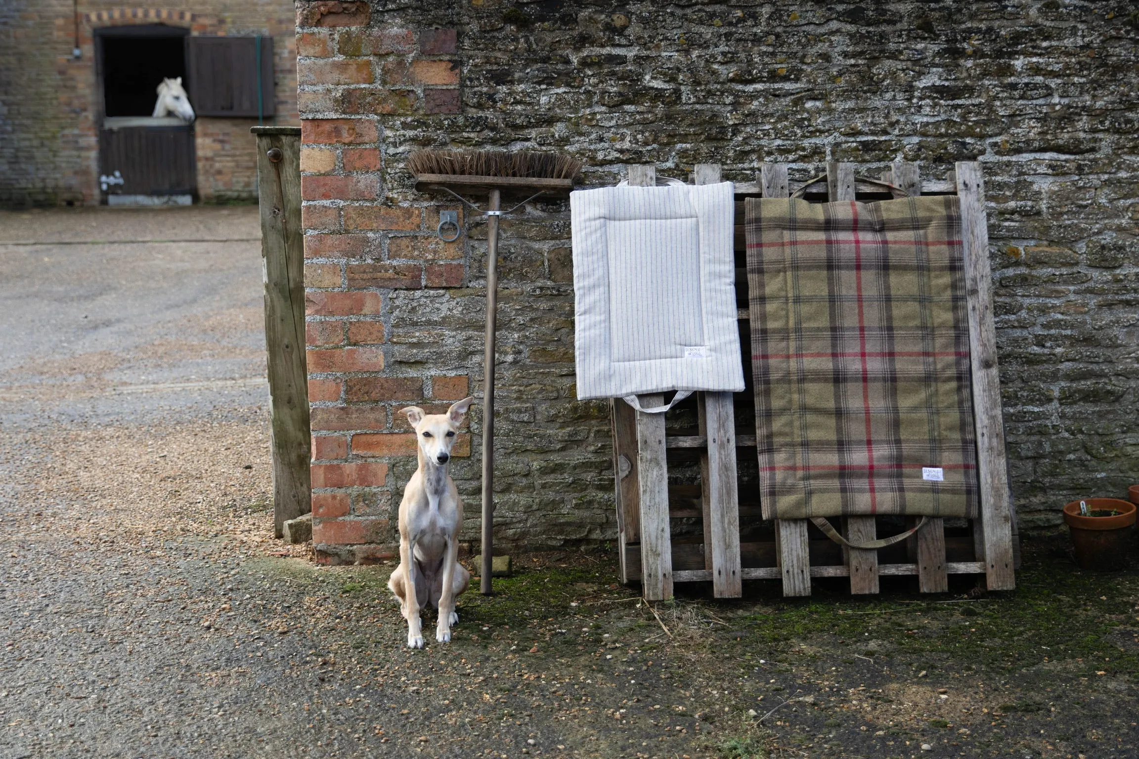 Hunter Tartan Picnic Pads
