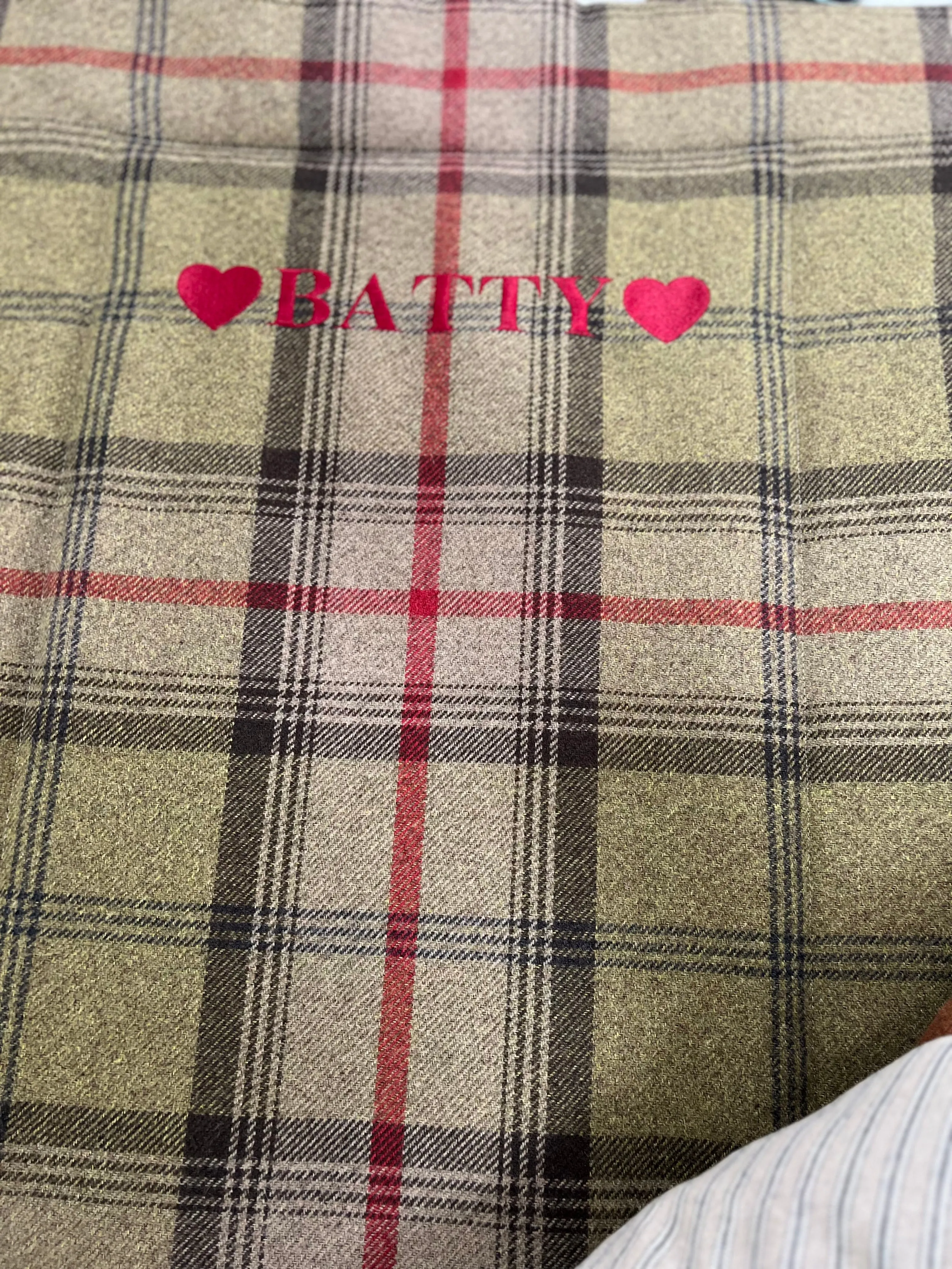 Hunter Tartan Picnic Pads