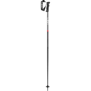 Leki QNTM Poles 2025