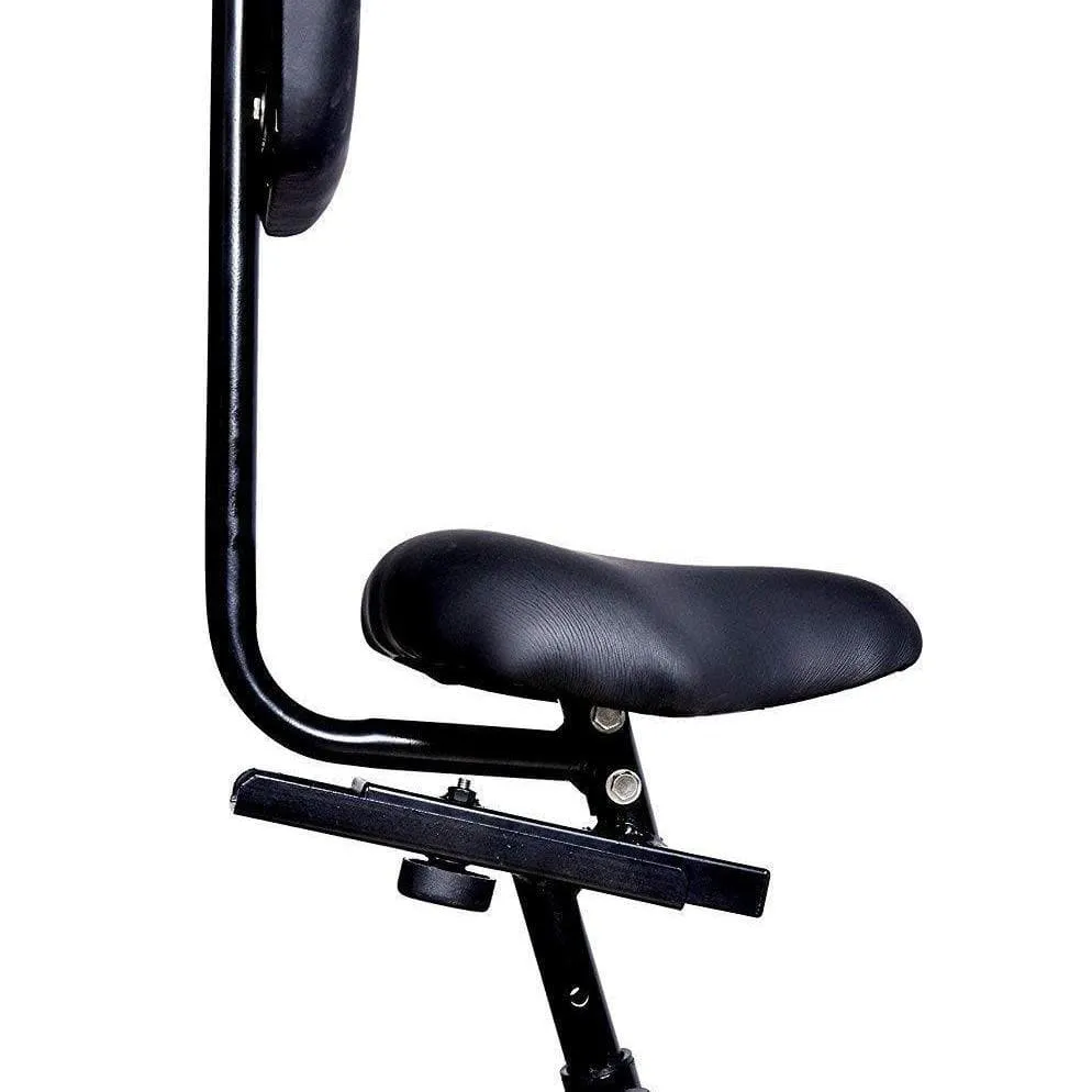 Lifeline Air Bike Back Support with Moving Handle Gym Cycle
