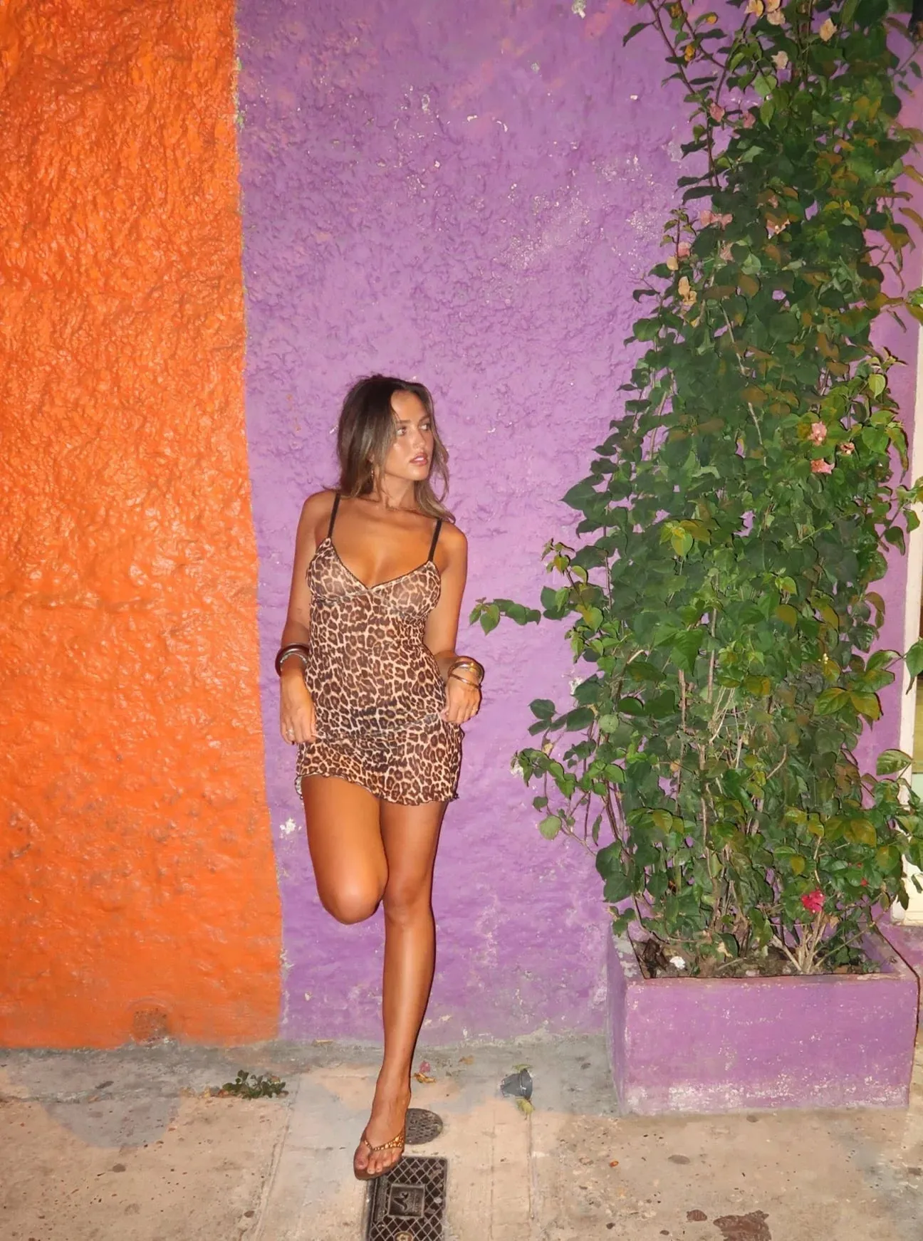 Loleia - La Leopardo mini dress