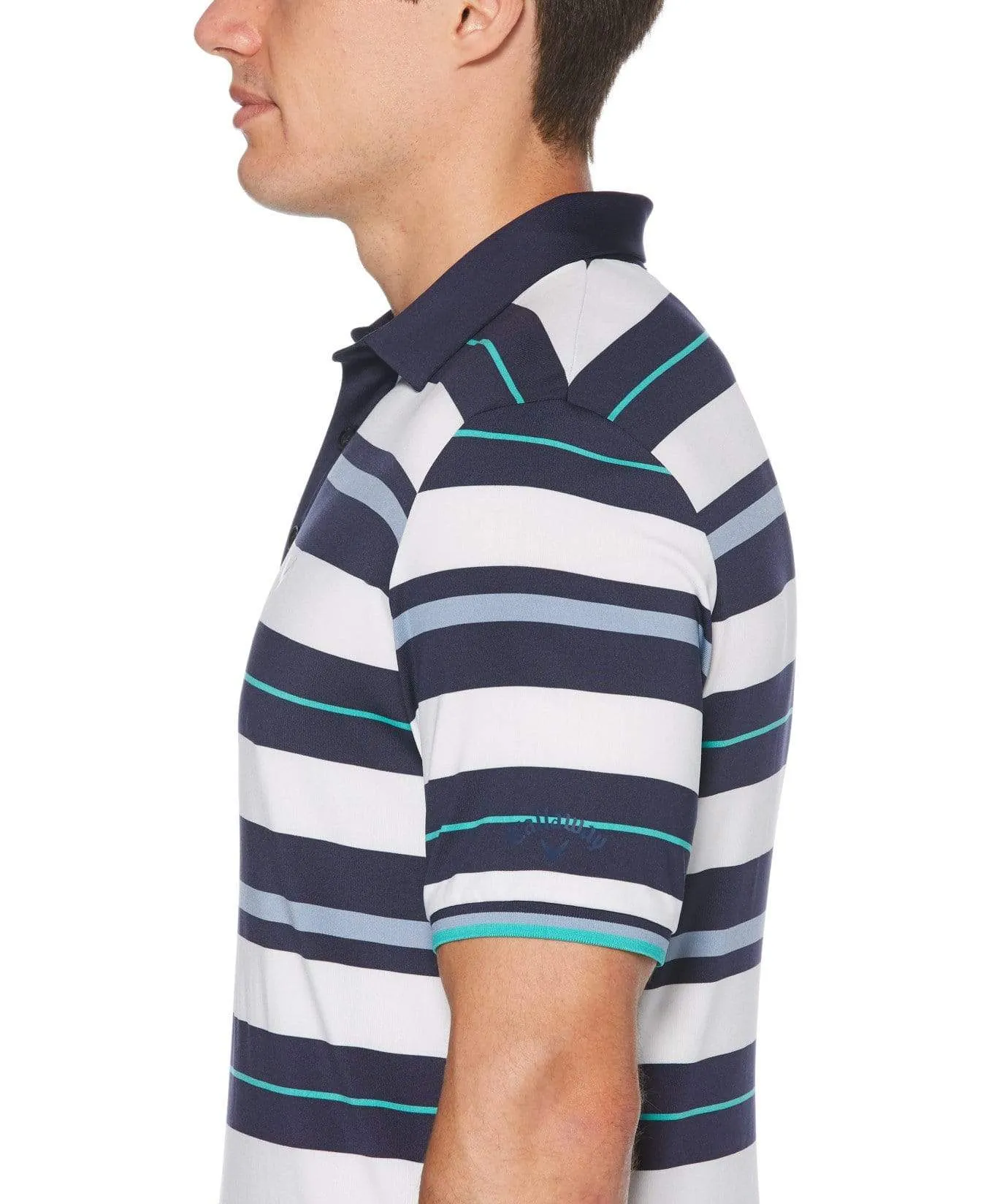 Mens Roadmap Stripe Polo