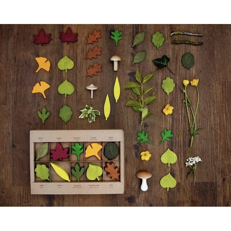 Moon Picnic - Woodland Leaves