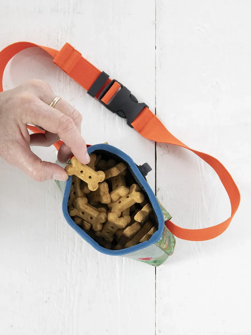 Natural Life Doggie Treat Pouch