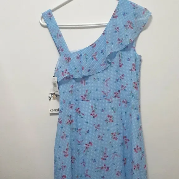 NWT Kensie Blue Gingham Floral Dress Size 8 Bloomcore