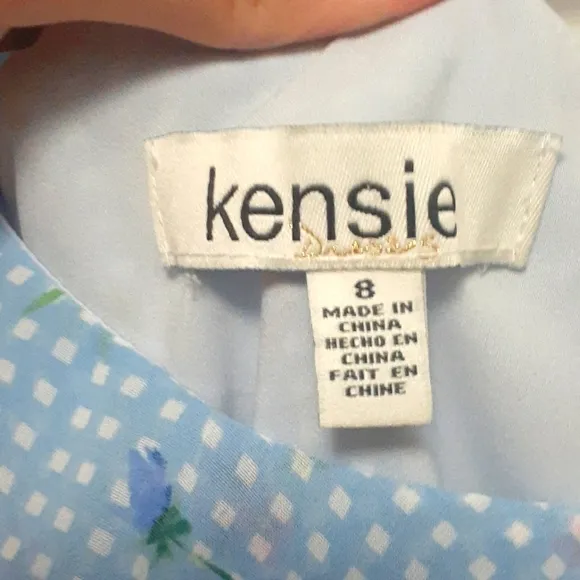 NWT Kensie Blue Gingham Floral Dress Size 8 Bloomcore