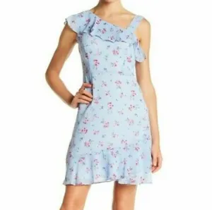 NWT Kensie Blue Gingham Floral Dress Size 8 Bloomcore