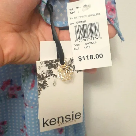 NWT Kensie Blue Gingham Floral Dress Size 8 Bloomcore
