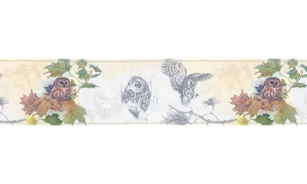 Owl B76352 Wallpaper Border