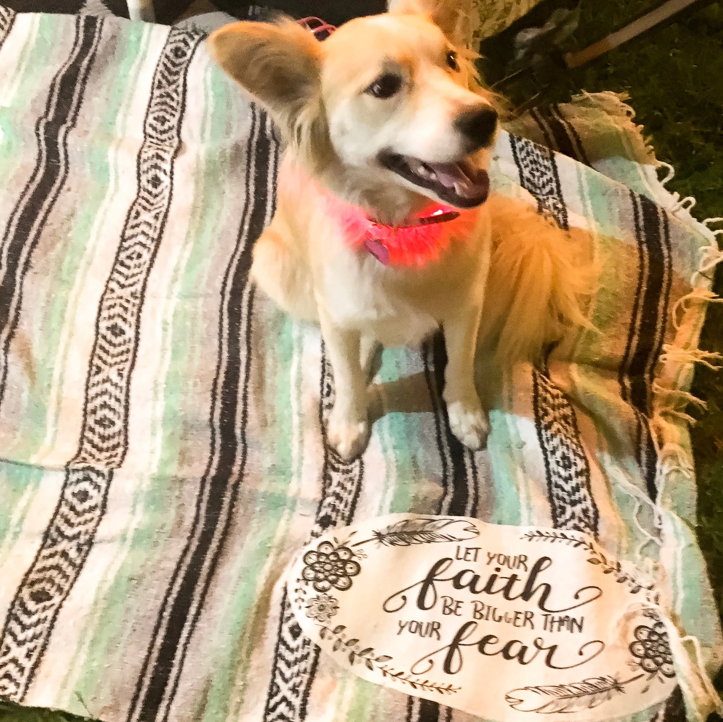 "Faith" - Mint Throw - Falza Mexican Blanket - Wholesale