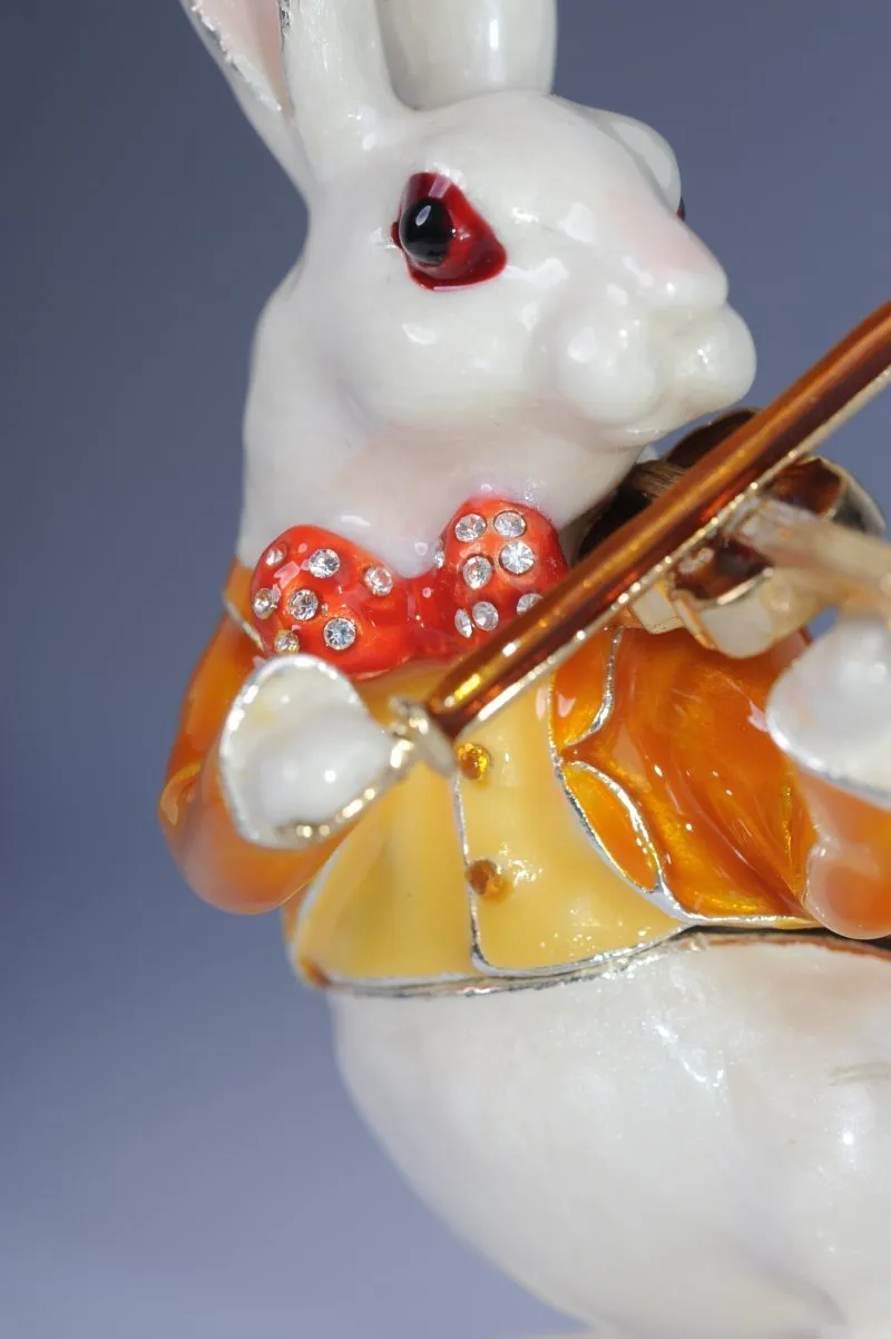 Rabbit Playing the Violin