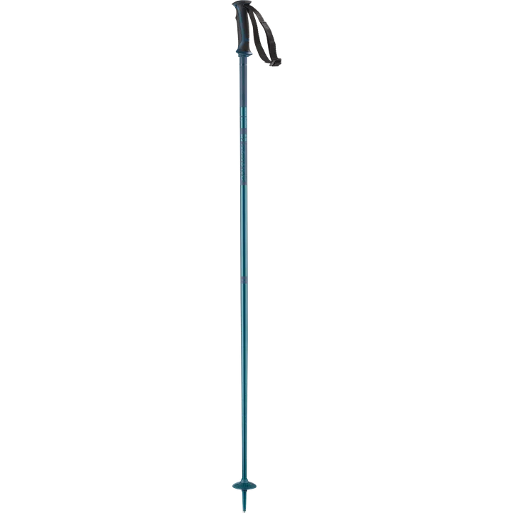 Salomon Arctic Poles Mens - Blue