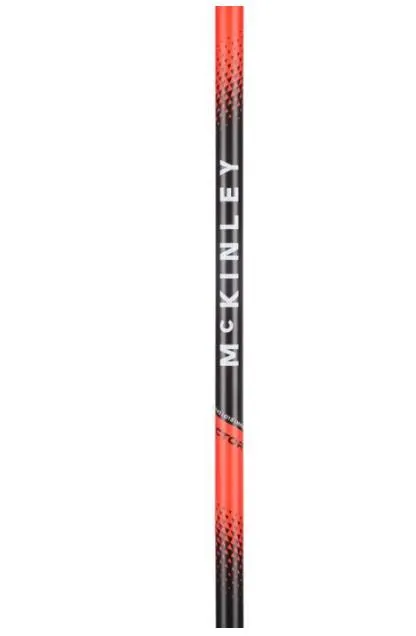 Vector 10 Ski Pole