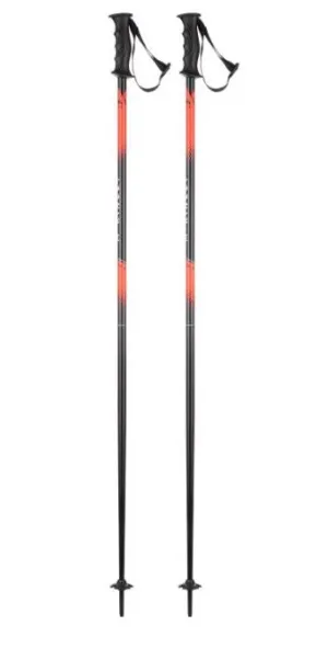 Vector 10 Ski Pole
