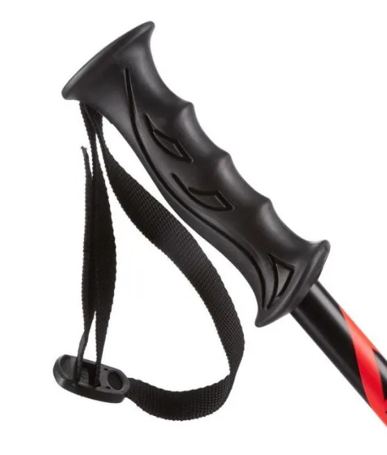 Vector 10 Ski Pole
