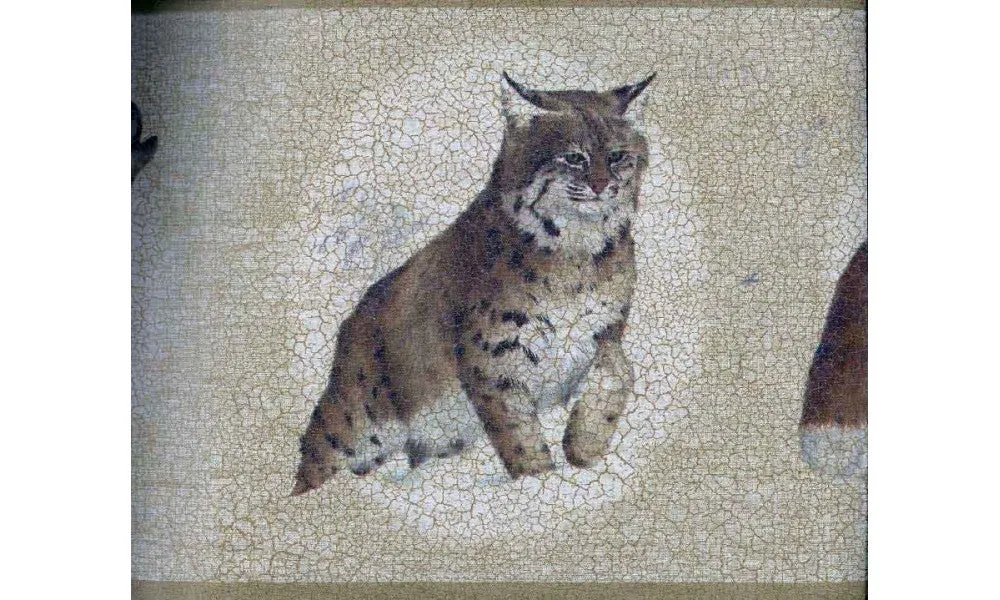 White Brown Cat Sketch RST2382 Wallpaper Border
