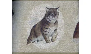 White Brown Cat Sketch RST2382 Wallpaper Border