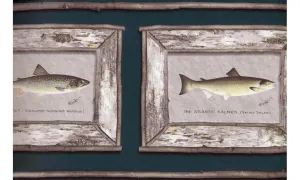 White Framed Atlantic Salmon CW102743 Wallpaper Border